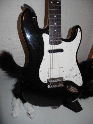 Guitar Hero compatiable Squier Squier Talk Forum