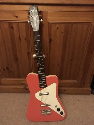 Danelectro pro for shop sale